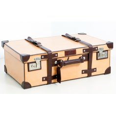 Suitcase Pan American