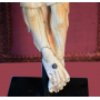 La Sculpture du Christ en ivoire. S: XIV