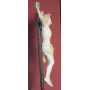 A escultura do Cristo en marfil. S: XIX
