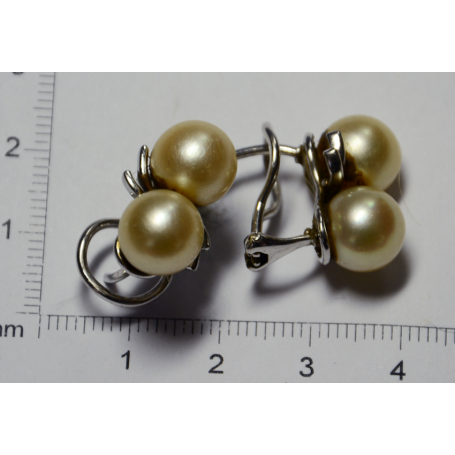 Earrings in white gold of law