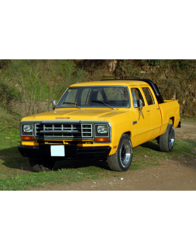 Dodge Pick-up. Ram 250 Custom-.5.2. 1981