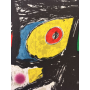 Joan Miró - Poligrafa 15 ans