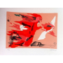 Jorge Castillo - Fire of Adan
