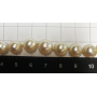 Collier d'opéra avec perles des mers du sud, fermoir en or 18 carats.