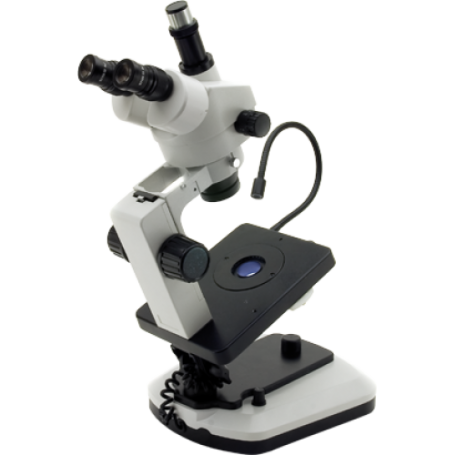 Microscope stéréoscopique rotary KSW8000