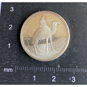 Moneda de 1 Riyal. Yemen. Plata 925 mm.