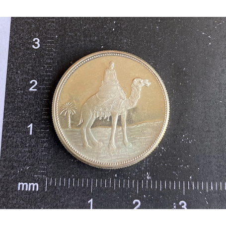 1-Riyal-Münze. Marokkanisch. Silber.