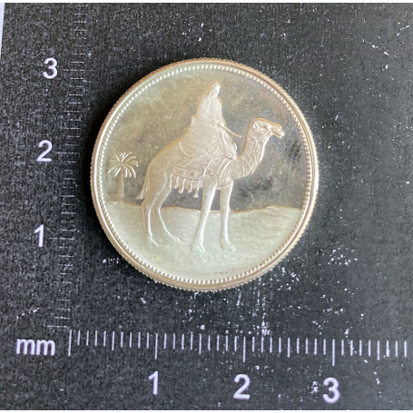 1-Riyal-Münze. Marokkanisch. Silber.
