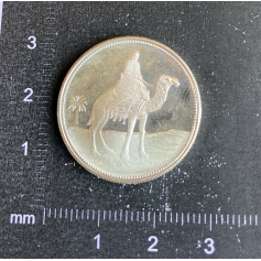 Moneda de 1 Riyal. Marroquí. Plata 925 mm.