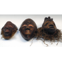 Máscaras de la etnia Tikar, originarias de Camerún.